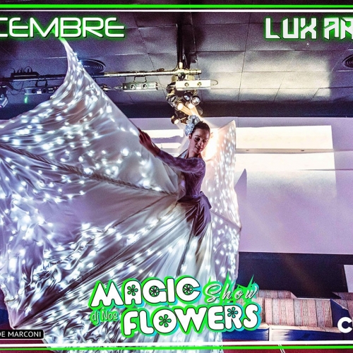 Farfalla-luminosa-per-discoteca-(2)