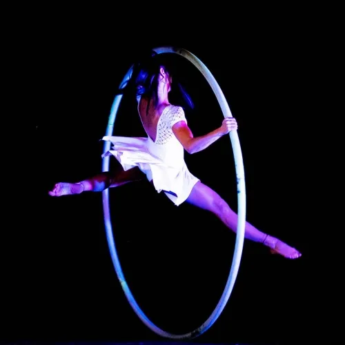 Acrobazie su Ruota