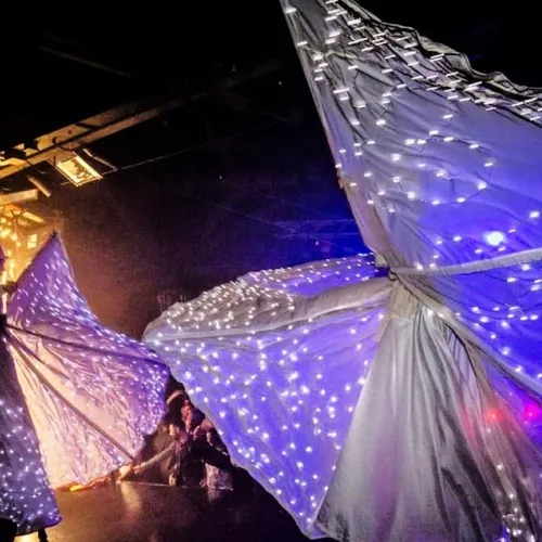 animazione farfalle luminose