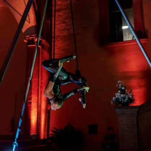 Danza Aerea Trapezio