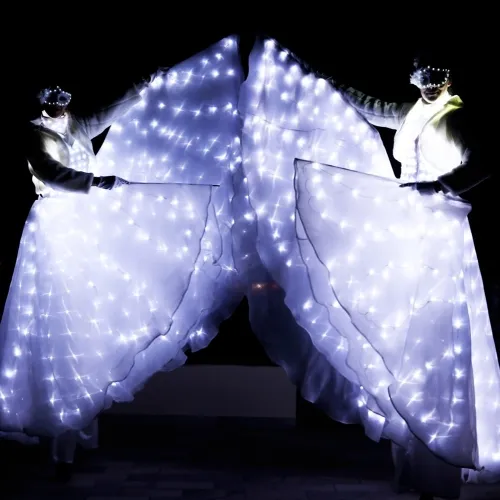 Danza delle Farfalle Luminose matrimonio