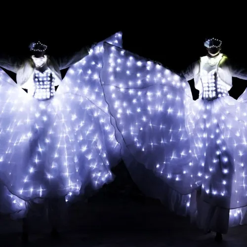 Danza delle Farfalle Luminose per Matrimonio