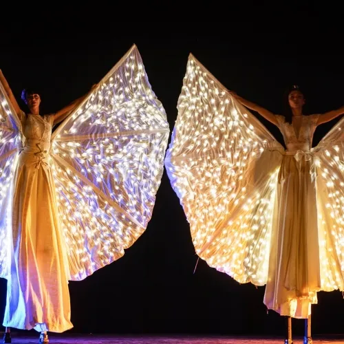 Danza delle Farfalle