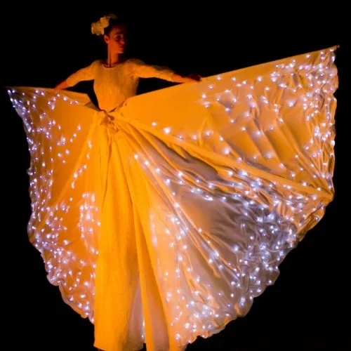 esibizione-farfalle-luminose