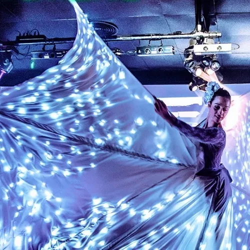 Farfalla-luminosa-per-evento aziendale