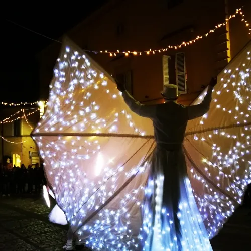 farfalle di luce di notte spettacolo