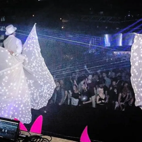 farfalle luminose animazione Firenze