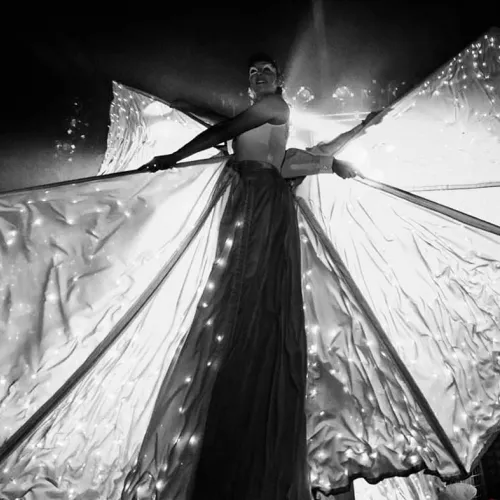 Farfalle luminose discoteca