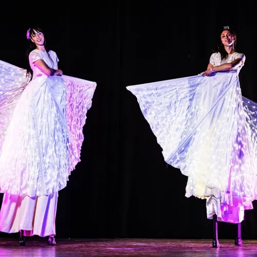 Farfalle Luminose spettacolo