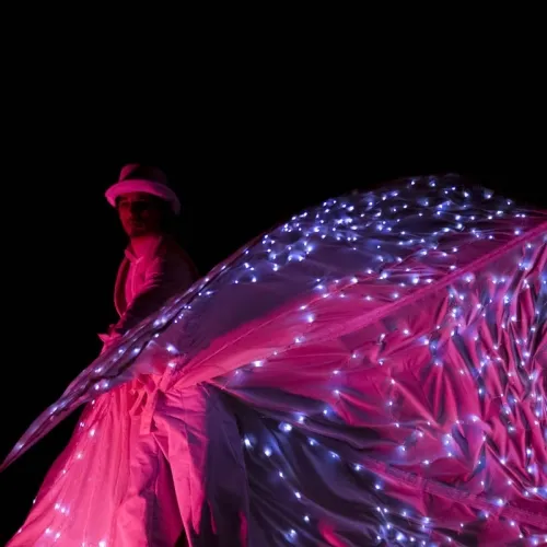 Farfalle luminose spettacolo 