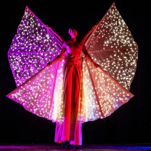 Farfalle Luminose TRAMPOLIERI