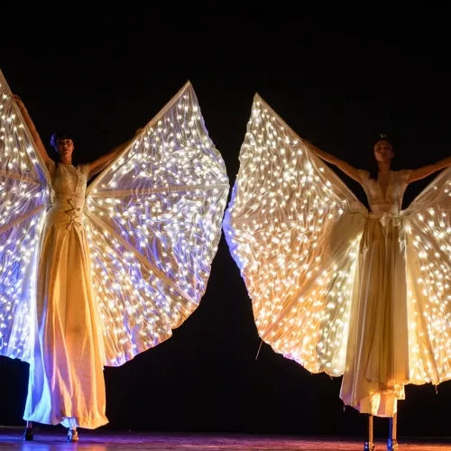 Le Farfalle Luminose