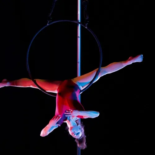 spettacolo danza aerea 