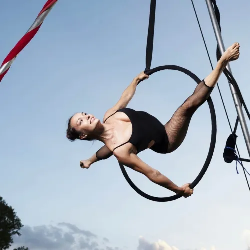 Spettacolo di Cerchio Aereo