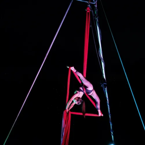 Spettacolo di Tessuti Aerei