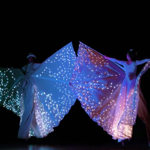 spettacolo Farfalle luminose matrimonio