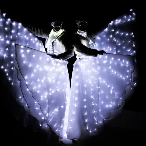 spettacolo Farfalle Luminose per Matrimonio