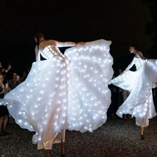 spettacolo Farfalle Luminose per matrimonio