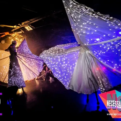 spettacolo farfalle luminose sposi