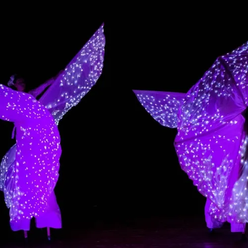 spettacolo-farfalle-luminose