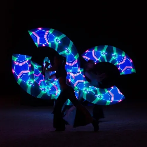 Spettacolo-Led-alla-reggia-della-Venaria-Reale