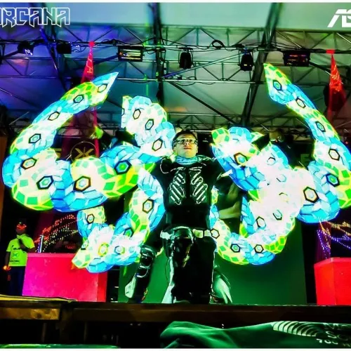 Spettacolo LED per concerto