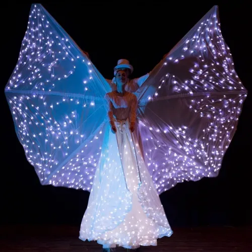 Taglio torta sposi con farfalle luminose show