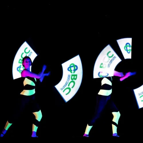 VISUAL pois per Banca BCC