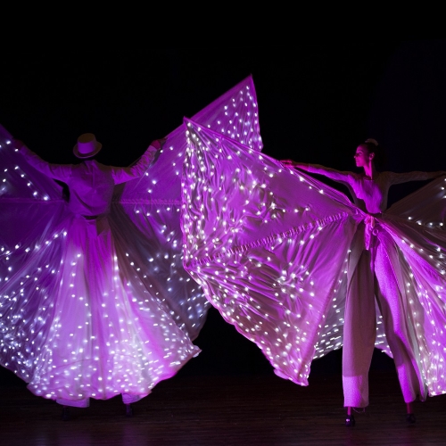 13-light-butterfly-show